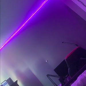 Meet your Posher, Lane